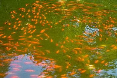 紧张刺激！《无主之地4》20分钟游戏深度实机演示