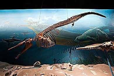 Epic商城上线5年了 但仍然没有盈利